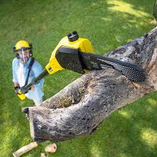 Best Organic Lawn Care Solutions  in Monee, IL